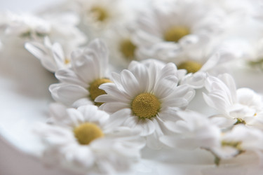 Similar image 809719