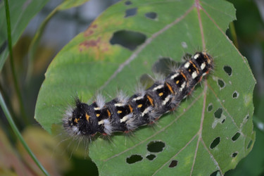 Similar image 809727