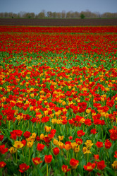 Similar image 809737