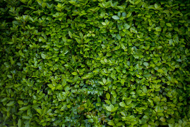 Similar image 809746