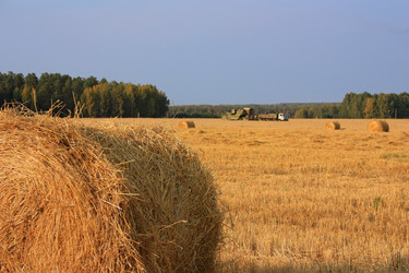 Similar image 809752