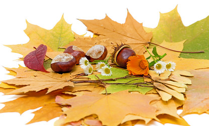 Similar image 809760