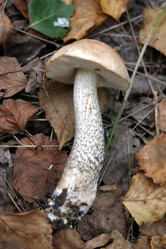 Similar image 809764