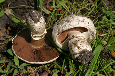 Similar image 809773