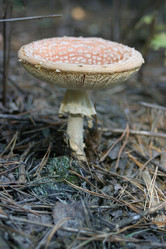 Similar image 809779