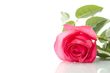 Similar image 809794