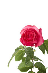 Similar image 809798