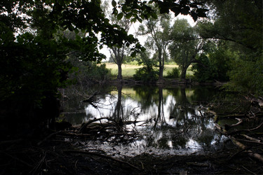 Similar image 809808