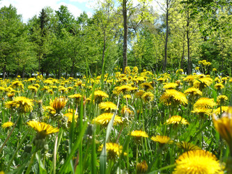 Similar image 809813