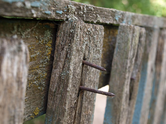 Similar image 809825