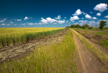 Similar image 809858