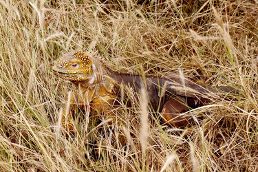 Similar image 809862