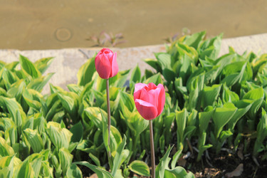 Similar image 809879