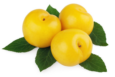 Similar image 809925