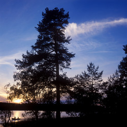 Similar image 809951