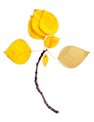 Similar image 809959