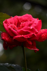 Similar image 810022