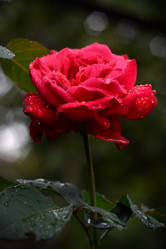 Similar image 810023