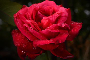 Similar image 810024