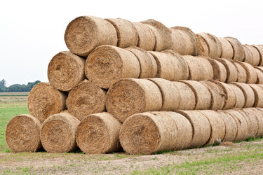 Similar image 810027