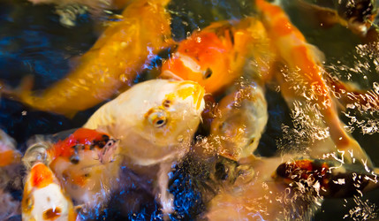 Similar image 810031