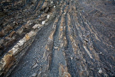 Similar image 810044