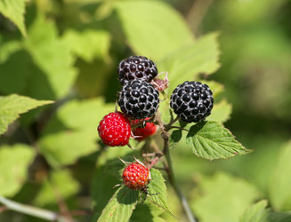 Similar image 810052