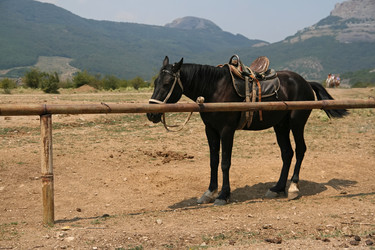 Similar image 810066