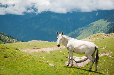 Similar image 810069