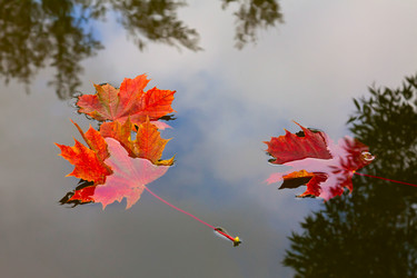 Similar image 810118