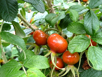 Similar image 810175