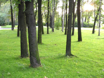 Similar image 810187