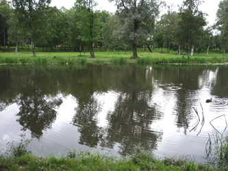 Similar image 810228