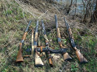 Similar image 810229