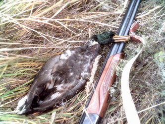 Similar image 810231