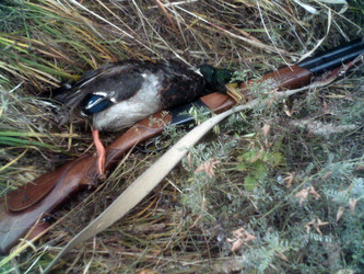 Similar image 810233