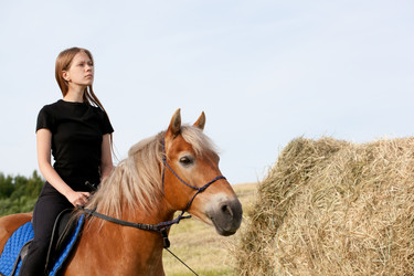 Similar image 810234