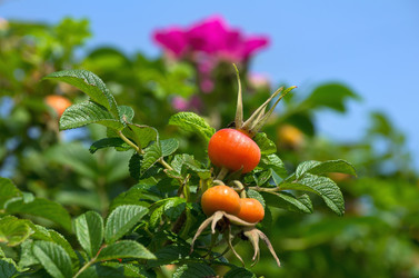 Similar image 810272