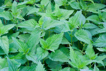 Similar image 810293