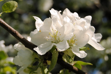 Similar image 810301