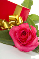 Similar image 810302