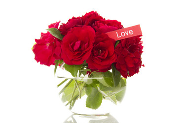 Similar image 810305