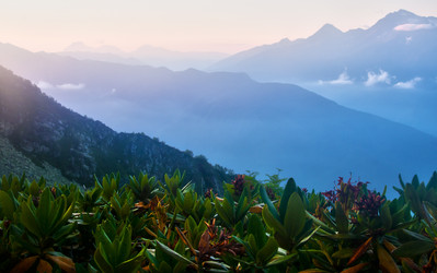 Similar image 810311