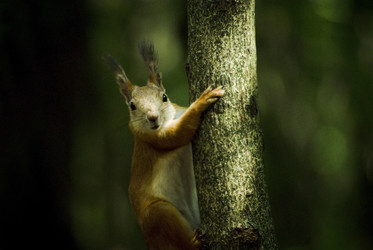 Similar image 810329