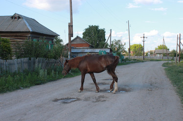 Similar image 810344