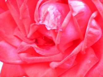 Similar image 810375