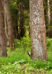 Similar image 810415