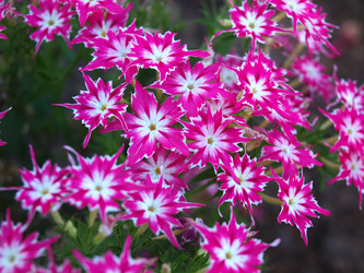 Similar image 810427