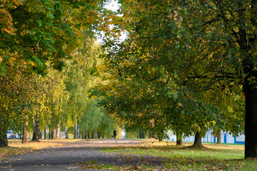 Similar image 810480