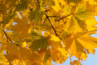 Similar image 810494